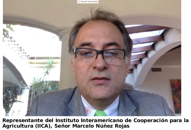 cancilleria